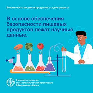 Часто возникающие вопросы о сохранении пищевых продуктов для собак в холодильнике