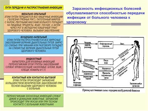 Частые пути передачи этиологического агента заболевания Варденафиллоз