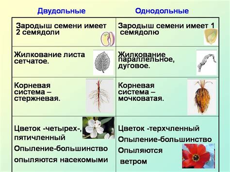 Четвертая плутовка: Отличительные черты Усадьбы Озерной Крови