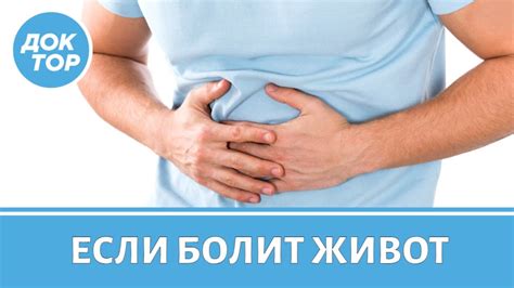 Что делать, если заметены недочеты в переводимых средствах