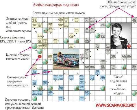 Что такое сканворд и как его разгадать