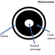 Шаг 9: Создание водоподготовительного узла