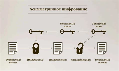 Шифрование паролей: алгоритмы, обеспечивающие безопасность данных