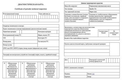 Штрафы за отсутствие или несоответствие диагностической карты в ГИБДД