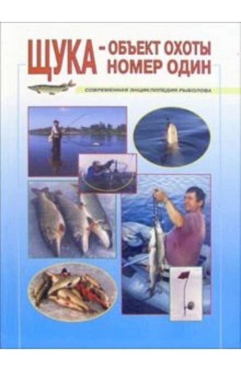 Щука: наиболее популярный объект охоты у рыбаков России