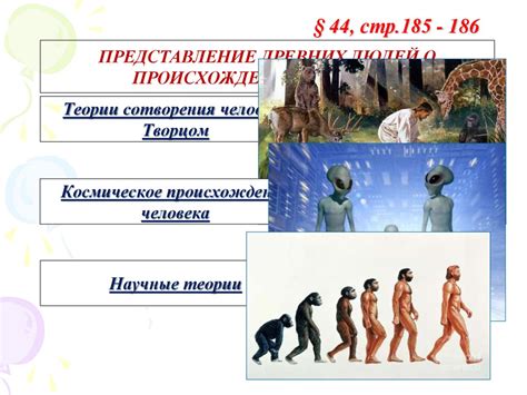 Эволюционное происхождение человека и его взаимодействие с окружающей средой