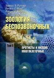 Эволюционные аспекты сотрудничества между авиародами поющих и охотничьих видов
