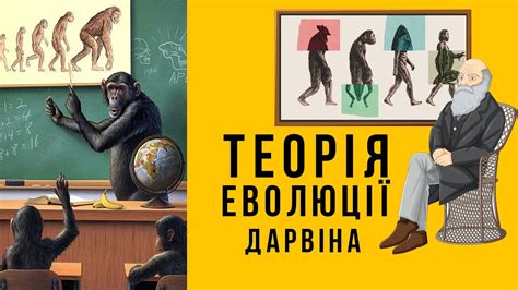 Эволюция и путь развития книги сделок и сведений о покупках