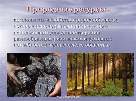 Экологическая обстановка и природные ресурсы округа: сохранение богатств природы и экосистем