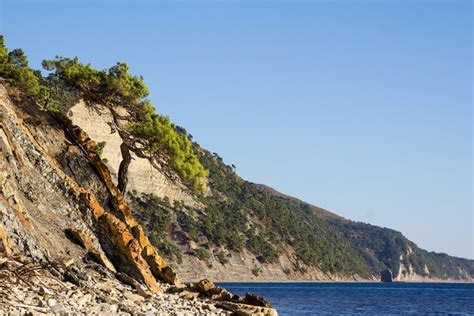 Экологическая роль самых чистых побережий Черного моря