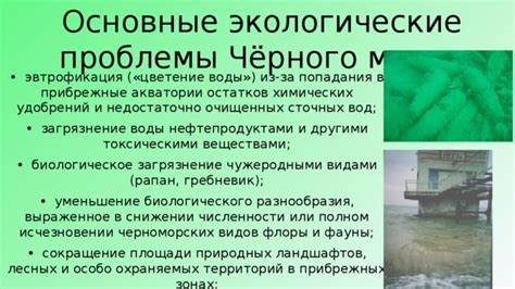 Экологические аспекты прилегающих территорий Черного моря