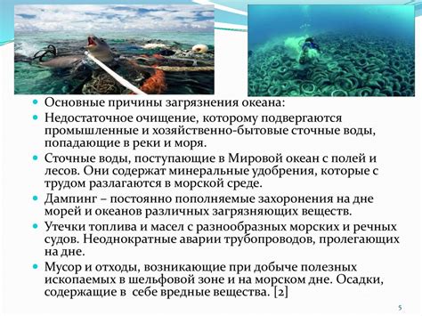 Экологические проблемы в прибрежных районах Черного моря и меры по их преодолению