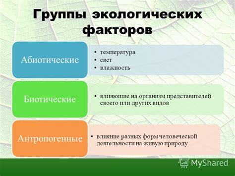 Экологические факторы, влияющие на жадность волков