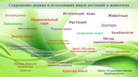 Экологическое богатство и биоразнообразие