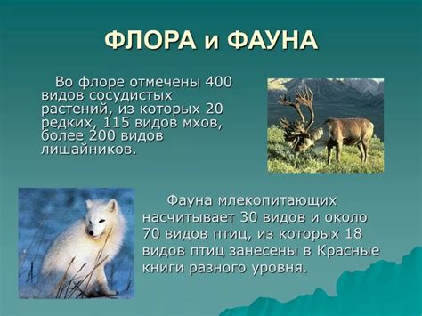 Экологическое значение и уникальная флора и фауна богатейшей водной артерии