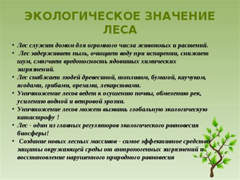 Экологическое значение уникального природного резервата