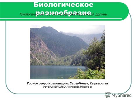 Экологическое состояние и биологическое разнообразие Бенгальского залива