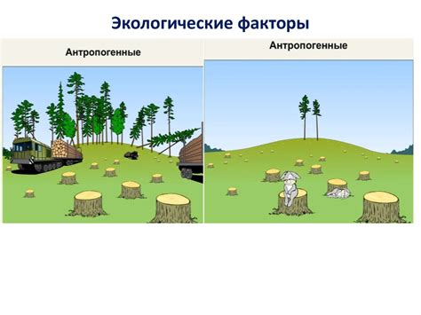 Экология – наука о взаимодействии организмов с окружающей средой: гармония и зависимость