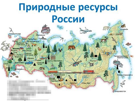 Экономический потенциал и богатство природных ресурсов в окрестностях Амазонки