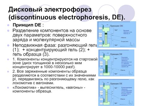 Электрофорез: выявление компонентов смеси на основе их электрической подвижности