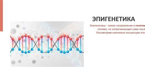 Эпигенетика: значение химических меток в геноме