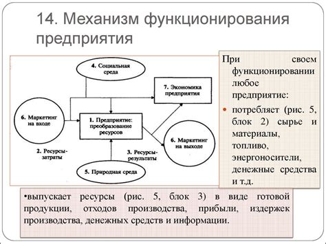 Этапы оплаты и механизм функционирования