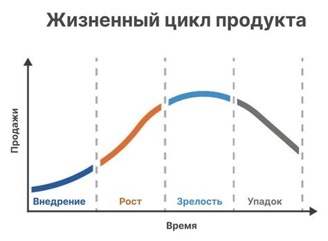 Этапы развития и жизненный путь русского кругопаука