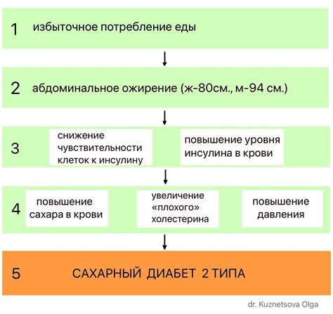 Этапы развития чайного кустарника