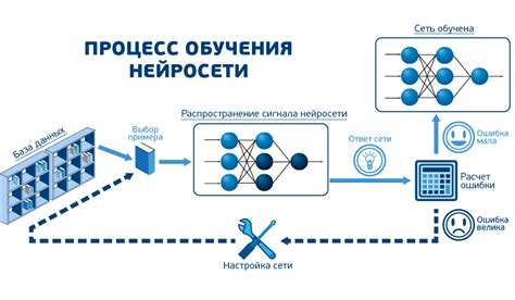 Этапы формирования знаний в нейронных сетях: сущность и практическое применение