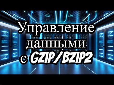 Эффективное управление данными при импорте контактов: ключевая роль профиля
