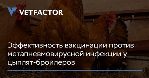 Эффективность вакцинации в противостоянии инфекции: роль ОПВ препарата