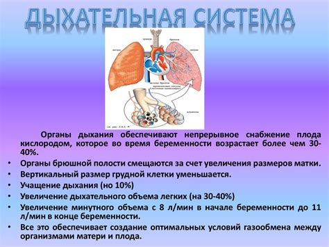 Эффекты переливания собственной жидкости в организме: изменения после процедуры