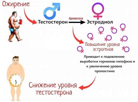 Эффект дисбаланса гормонов на сексуальное вожделение