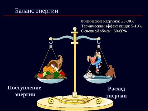 Эффект поцелуя на расход энергии человека