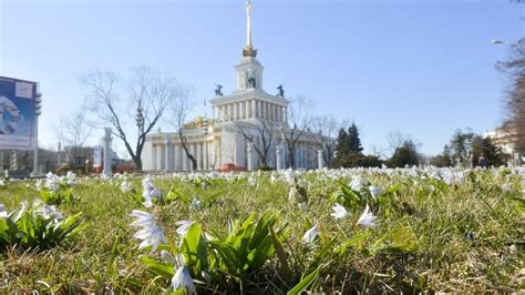 Юмор и ирония в высказываниях о приходе весны