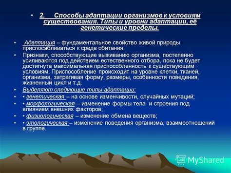  Адаптация неживых организмов: стремление к выживанию 