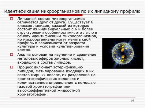  Анализ состава и активности микроорганизмов в септической системе 