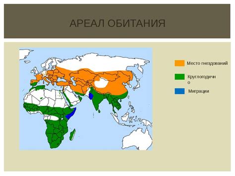  Ареал обитания сороконожек 