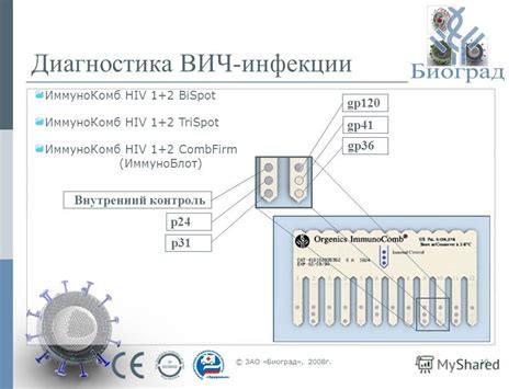  Важность Вич антигена p24 в диагностике ВИЧ-инфекции 