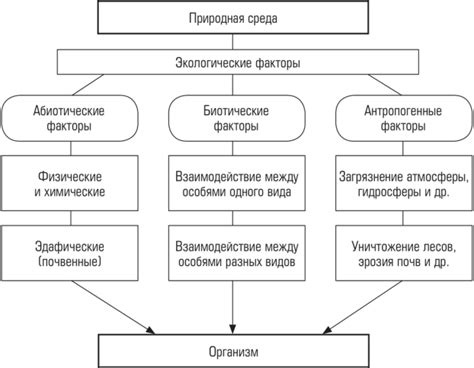  Взаимодействие хромосом с окружающей средой и эпигенетические механизмы 