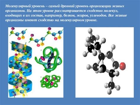  Взаимосвязи организмов на молекулярном уровне 