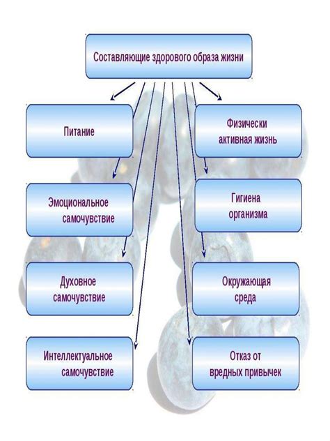  Влияние здорового образа жизни на физическое состояние 