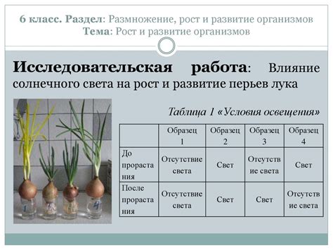  Влияние международного опыта на развитие светофорной системы в Российской Империи 