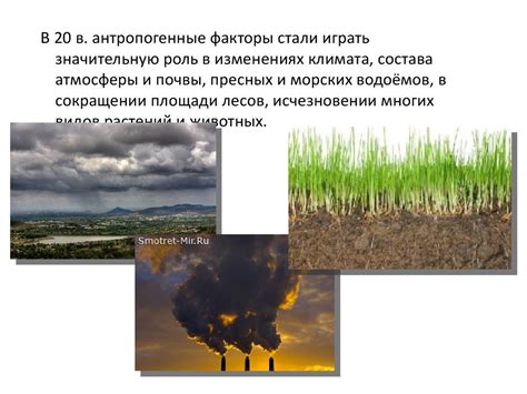  Влияние местоположения на окружающую среду лягушек в третьем классе
