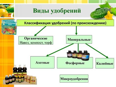  Влияние невесомости на развитие и рост рыбы 