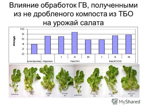  Влияние одуванчиков на качество компоста 