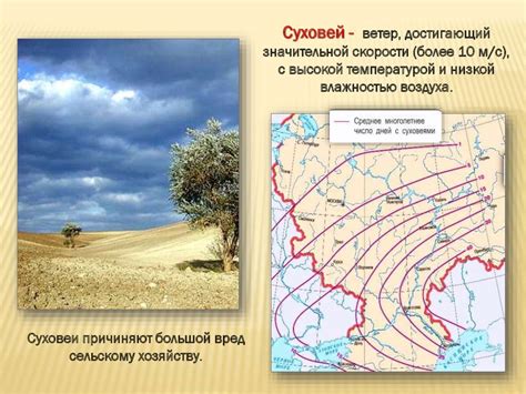  Влияние прибрежного климата на жизнь и культуру приморского населенного пункта 