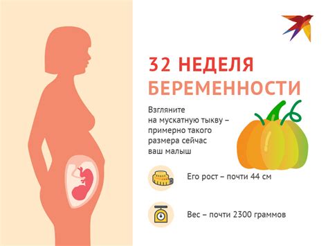  Влиятельные факторы, приводящие к снижению живота на 32 неделе беременности 