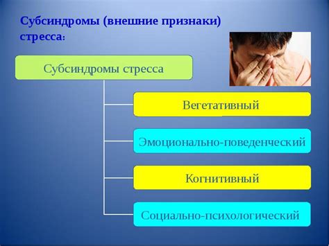  Внешние проявления привлекательности