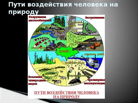  Воздействие человека на поток Любитника: разрушение родного биотопа 